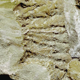 Satellite imagery of Magaiskopf, AT