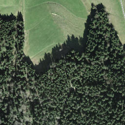 Satellite imagery of Bruusthöchi, CH