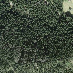 Satellite imagery of Gottschalkenberg, CH