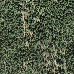 Satellite imagery of Hohe Rone, CH