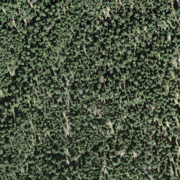Satellite imagery of Wildspitz, CH