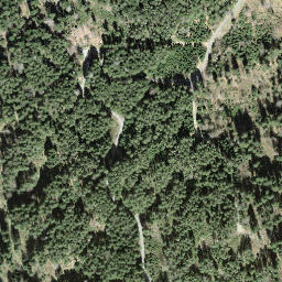 Satellite imagery of Tomislochhöchi, CH