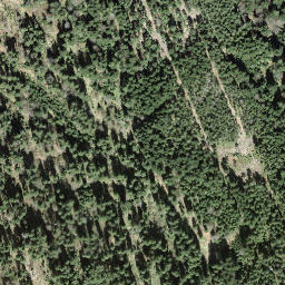 Satellite imagery of Tomislochhöchi, CH