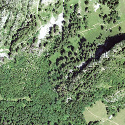 Satellite imagery of Gschwendshöhi, CH