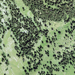 Satellite imagery of Galferbühel, CH