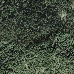 Satellite imagery of Bruusthöchi, CH
