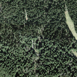 Satellite imagery of Bruusthöchi, CH