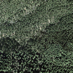 Satellite imagery of Gottschalkenberg, CH