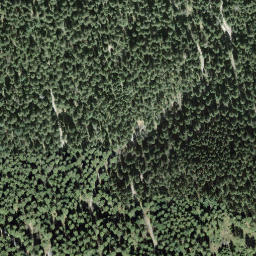 Satellite imagery of Gottschalkenberg, CH