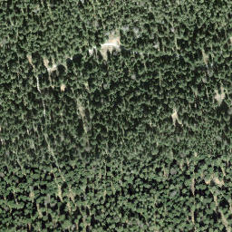 Satellite imagery of Höhronen, CH