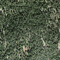 Satellite imagery of Höhronen, CH