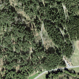 Satellite imagery of Farengütsch, CH
