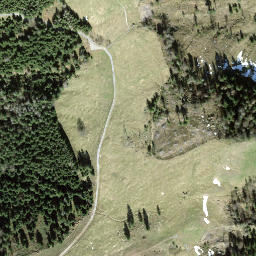 Satellite imagery of Gruebhöchi, CH