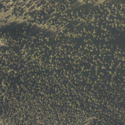 Satellite imagery of Walchererhöhe, AT