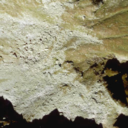 Satellite imagery of Kühkarhöhe, AT