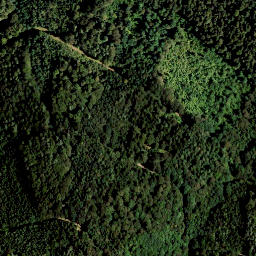 Satellite imagery of Walzkogel, AT
