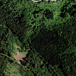 Satellite imagery of Walzkogel, AT