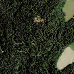Satellite imagery of Buchniklkogel, AT