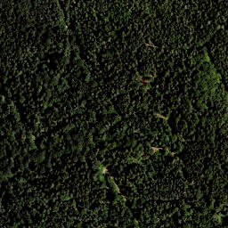 Satellite imagery of Buchniklkogel, AT