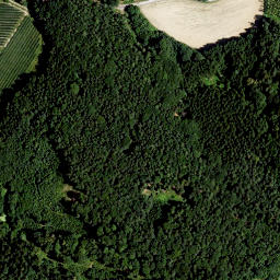 Satellite imagery of Bergl, AT