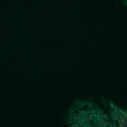 Satellite imagery of Pointe Beduni, FR