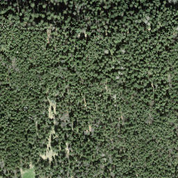 Satellite imagery of Mangelhöhe, CH