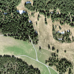 Satellite imagery of Gottschalkenberg, CH