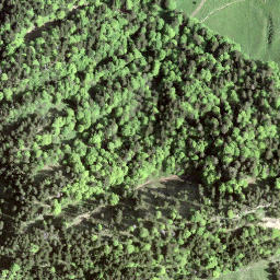 Satellite imagery of Austock, CH