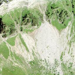 Satellite imagery of Brisi, CH