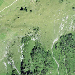 Satellite imagery of Platten, CH