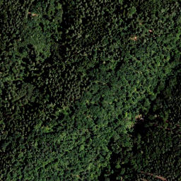Satellite imagery of Buchniklkogel, AT