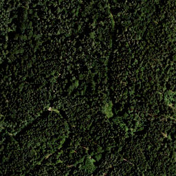 Satellite imagery of Buchniklkogel, AT