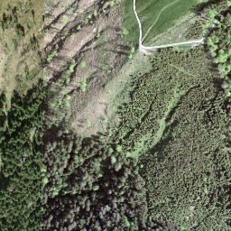 Satellite imagery of Gruebhöchi, CH