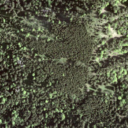 Satellite imagery of Bigligerhöchi, CH