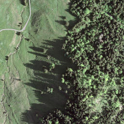 Satellite imagery of Hirzegg, CH