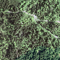 Satellite imagery of Hirzegg, CH