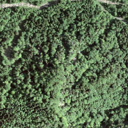 Satellite imagery of Rotberg, CH