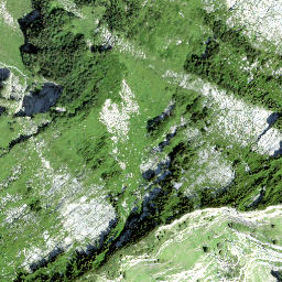 Satellite imagery of Leistchamm, CH