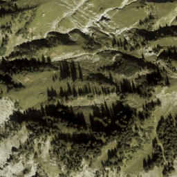 Satellite imagery of Tannecker, AT