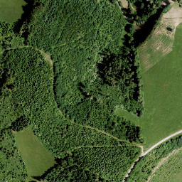 Satellite imagery of Walzkogel, AT