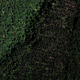 Satellite imagery of Buchniklkogel, AT