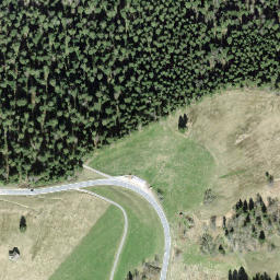 Satellite imagery of Ratengütsch, CH