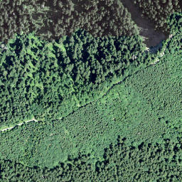 Satellite imagery of Rinderweidhoren, CH