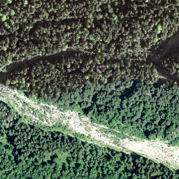 Satellite imagery of Bigligerhöchi, CH