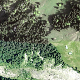 Satellite imagery of Bigligerhöchi, CH