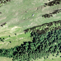 Satellite imagery of Schwantenhorn, CH