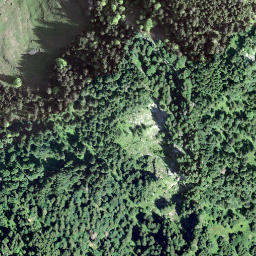 Satellite imagery of Hirzegg, CH