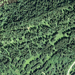 Satellite imagery of Hirzegg, CH