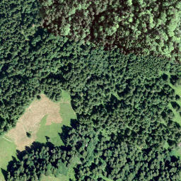 Satellite imagery of Wasseregg, CH