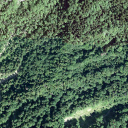 Satellite imagery of Wasseregg, CH